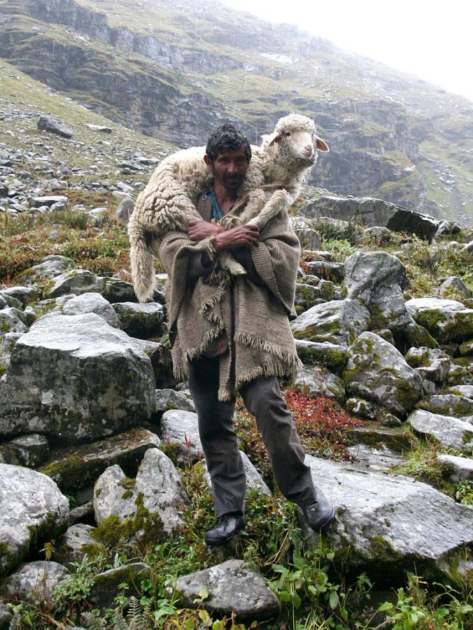 768px-shepherd_on_the_way_to_hampta_pass